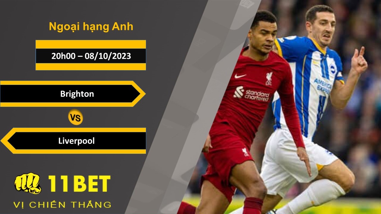 11BET Soi kèo Brighton vs Liverpool, 20h00, 08/10/2023